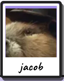 jacob retrato