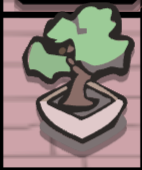Bonsai