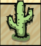 Cactus