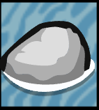 Rock
