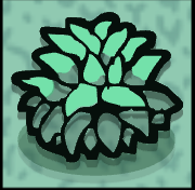 Shrub
